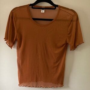 Sheer Brown and Women's Top